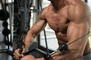 Ako si udržať dlhodobo svalovú hmotu Ako si udržať dlhodobo svalovú hmotu