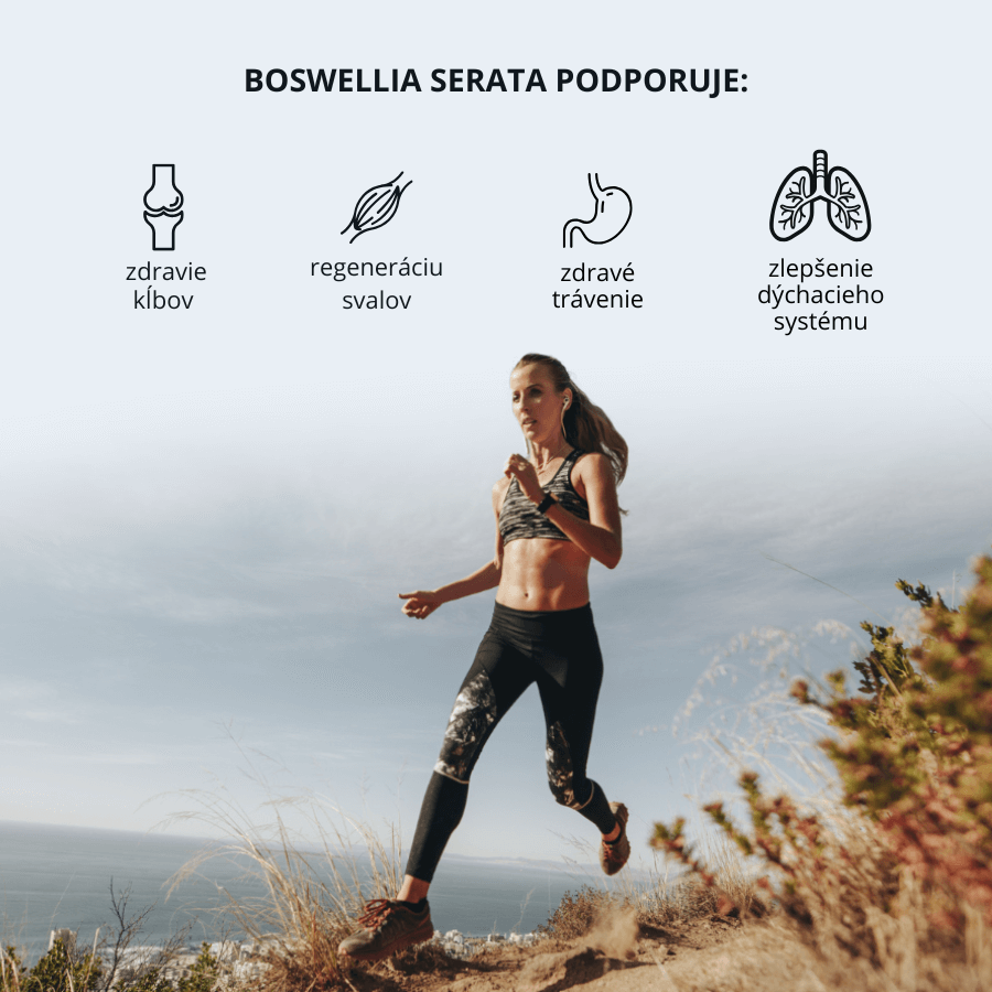Boswellia serata