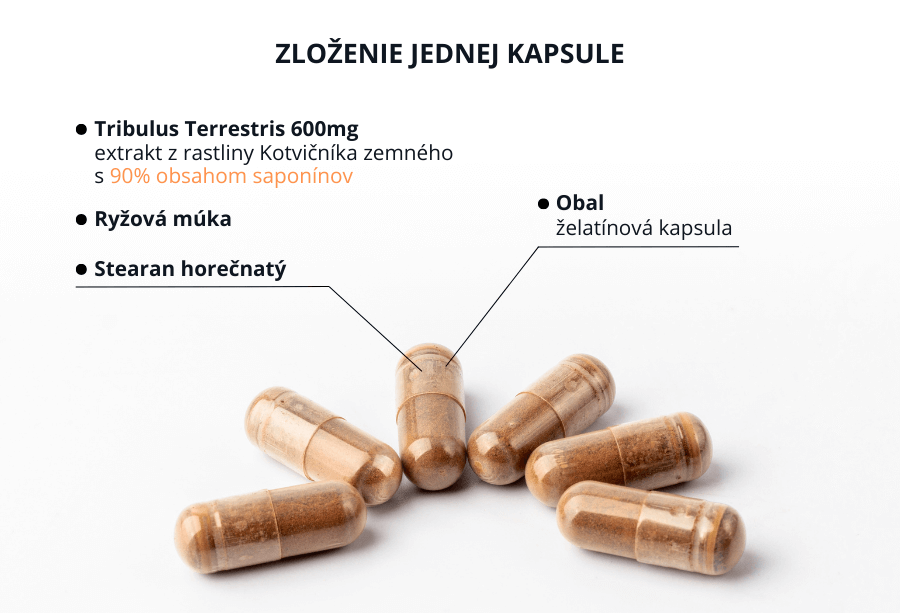 Tribulus Terrestris 90% saponnov