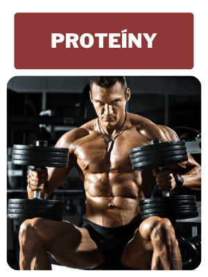 protein