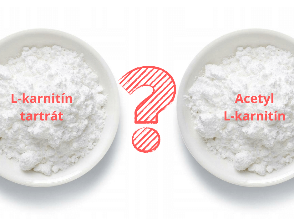 Porovnanie L-karnitínu tartrátu s acetyl L-karnitínom Porovnanie L-karnitínu tartrátu s acetyl L-karnitínom