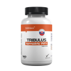 Tribulus Terrestris 90%