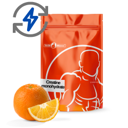 Creatine monohydrate 500g  | orange