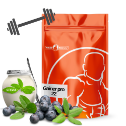 Gainer pro  22 1kg |Blueberry/yogurt